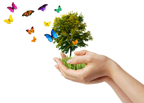 manisa su arıtma cihazı